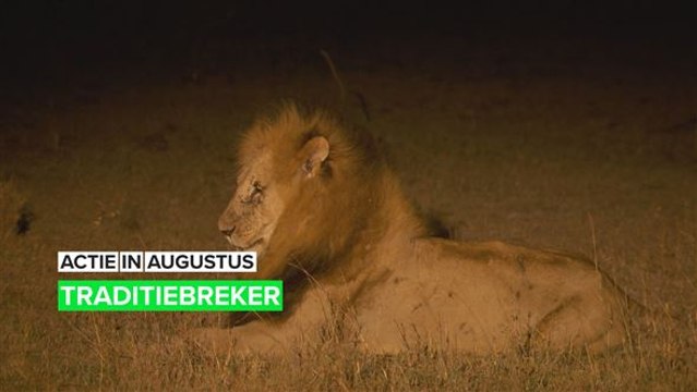 Richard's geniale oplossing om leeuwen te redden