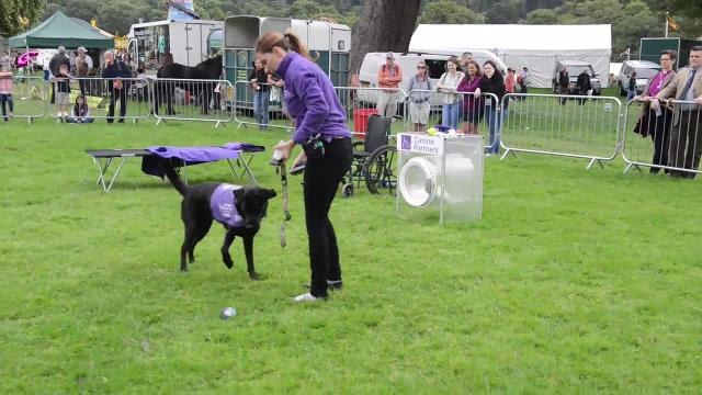 Chatsworth Country Fair 2019