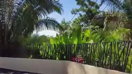 Book A Luxury Villa on Rent