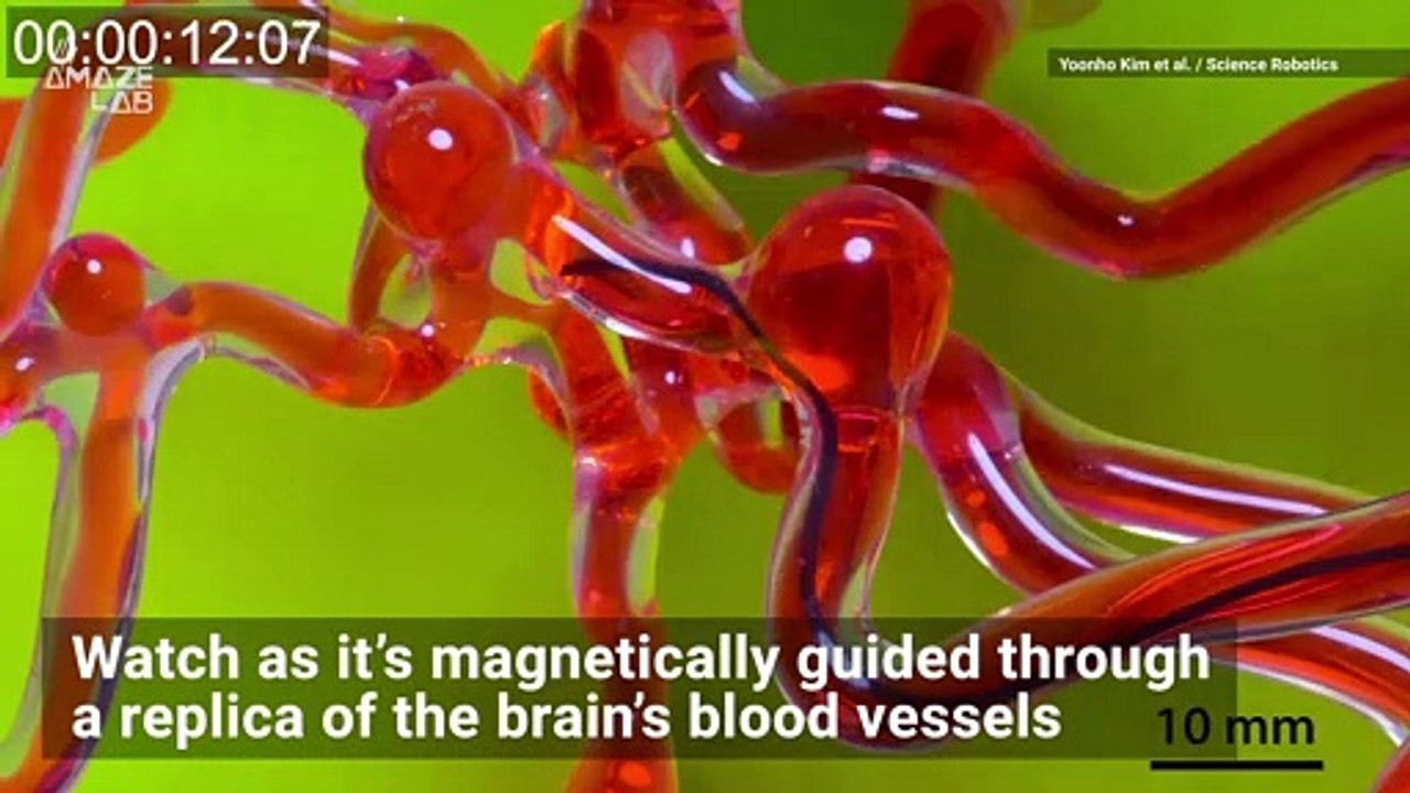 Thread-Like Robot Can Snake Through Brain’s Tiny Pathways