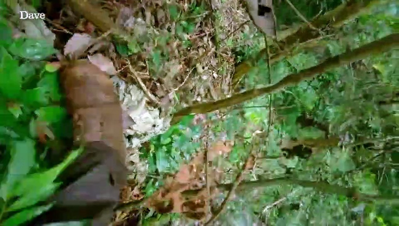 Expedition With Steve Backshall S01E06