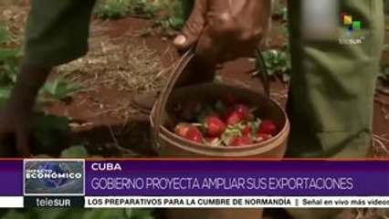 Cuba: Gobierno proyecta ampliar sus exportaciones