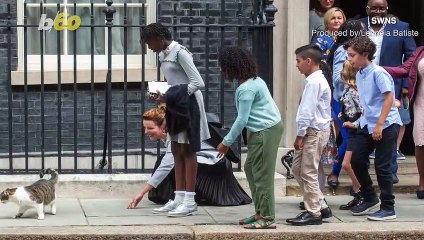 Children Attempt to Pet the Famous Larry the Cat Outside of U.K. Government Headquarters