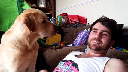 Regardez ce qui se passe quand vous ignorez votre chien... Trop drôle