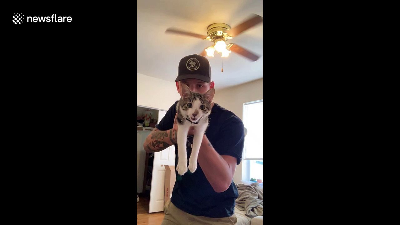 'Shotgun' cat accidentally misfires with a meow