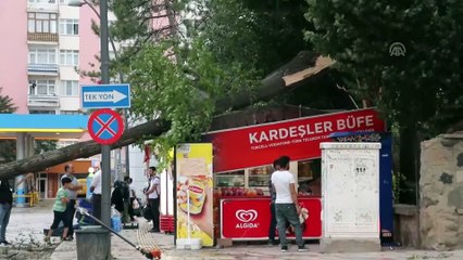 Sağanak ve fırtına etkili oldu - ELAZIĞ