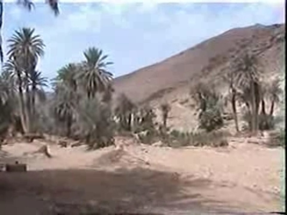 taghjijt oasis