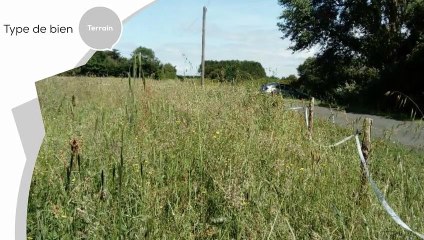 A vendre - Terrain - BEAUVOIR-SUR-MER (85230) - 2 227m²