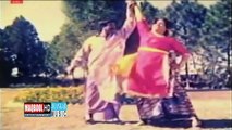 anjuman+sultan rahi-tere jiya howe jawaan