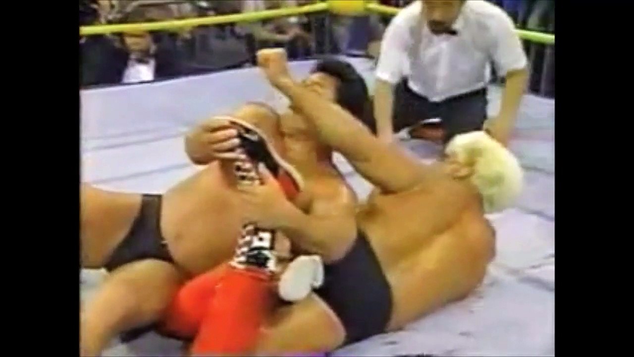 Ric Flair vs. Tatsumi Fujinami (05-19-91)
