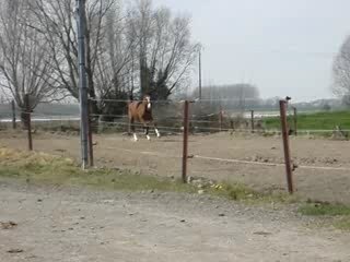 Arrivée nouvelle pension avril 2007