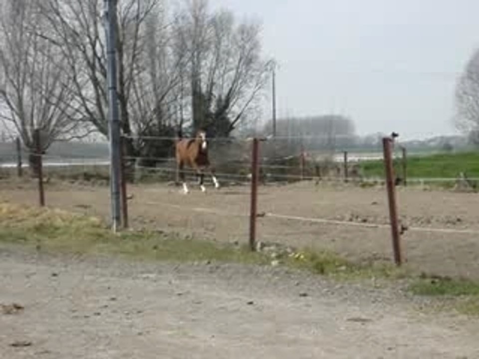 Arrivée nouvelle pension avril 2007