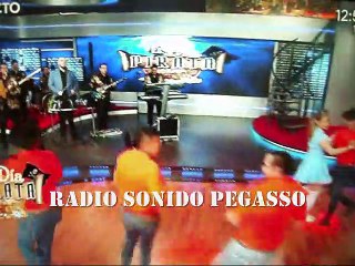 ZAAZ - LLORA CORAZON