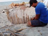 ÈMERGENCE des bèbès tortues caretta caretta  AMCP KURIAT ️ Tunisie