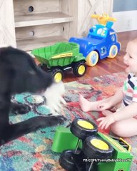 Funniest Baby and Dog Playing Together - Funny Baby and Pet
