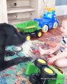 Funniest Baby and Dog Playing Together - Funny Baby and Pet