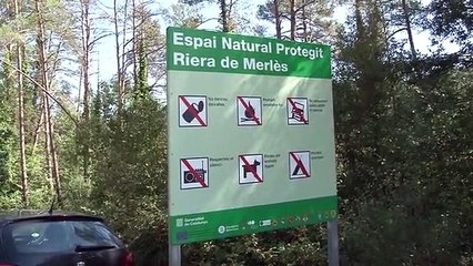 Massificació i anarquia a la riera de Merlès durant l'estiu