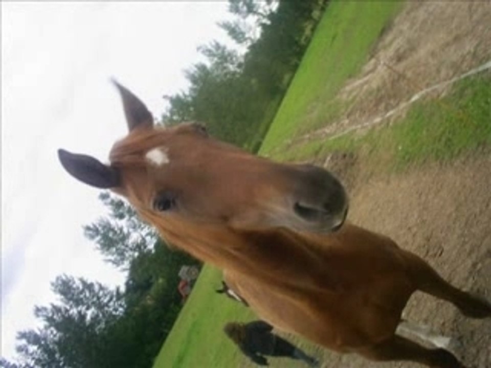 Osyris, ma petite étoile