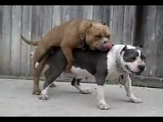 job 314 - lendemain difficile