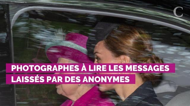 PHOTOS. Lady Di, Harry et William... Dans l'intimité des photos de vacances de la famille royale