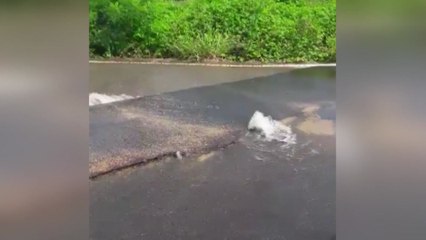 경남 창원서 상수도관 파열...단수로 주민 불편 / YTN