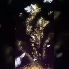 Pal Pal Dil ke Paas| song 2019| status mv