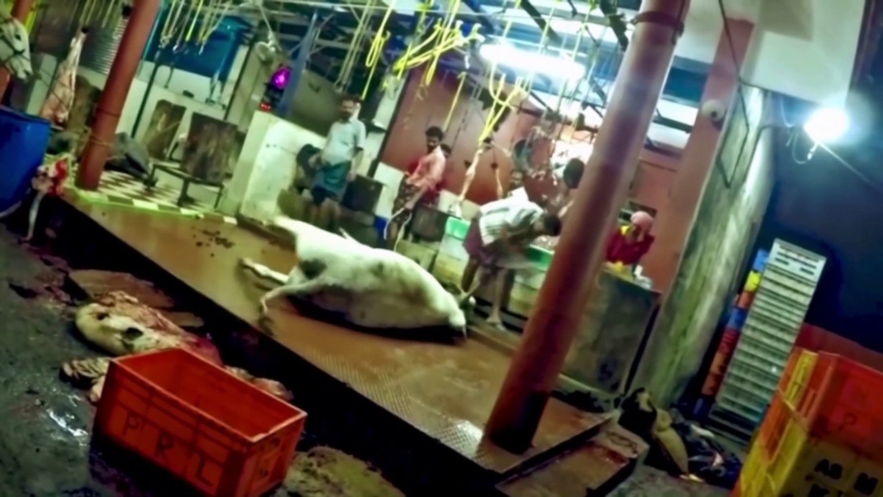 DOCUMENT 6 - 'Heuchlerei'