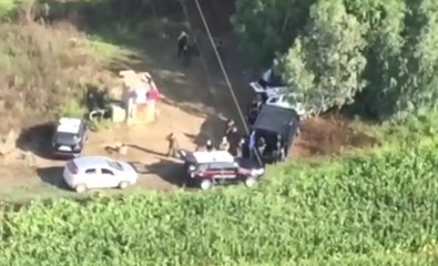 Oristano - Sequestrate ad Arcidano altre 2mila piante di marijuana (30.08.19)