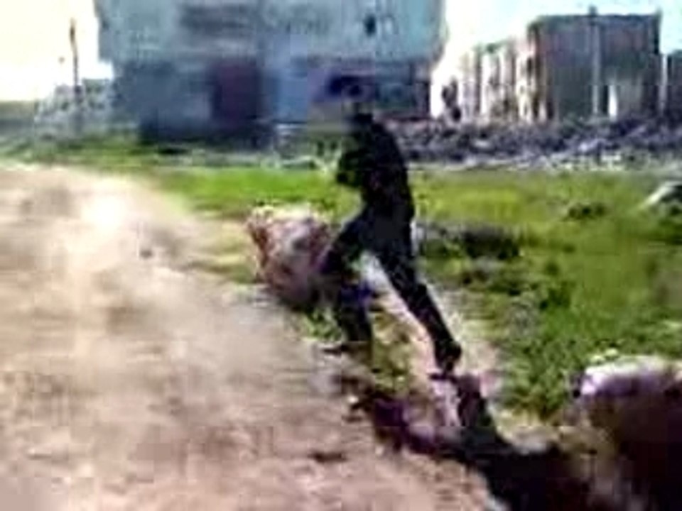 techno slavya