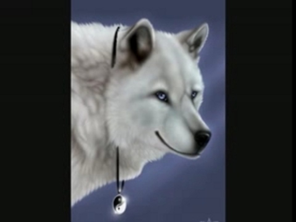 Loups