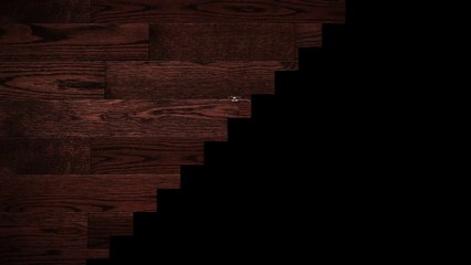 New videos featured on the web