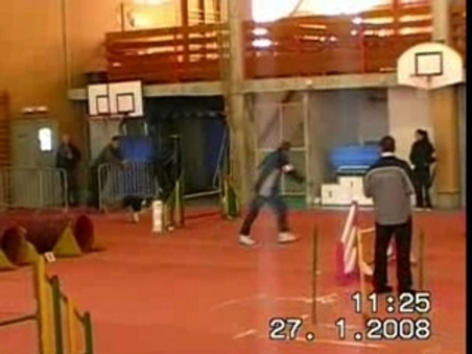 Brevet d'agility baïka_0002