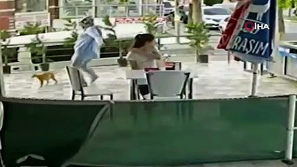 Silivri'de kediye tekme atan kadın kamerada