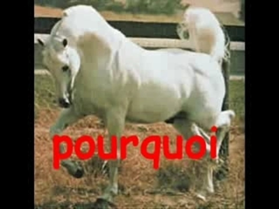 Pourquoi