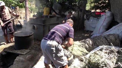 Muğla 74 yıldır bitkilerin yağını çıkartıp şifa dağıtıyor