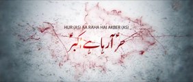 Nohay 2019 - Hur Araha Hai Akbar - Mir Hasan Mir New Noha 2019 - Noha Hazrat Hur 2019 -