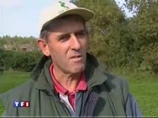 Interdiction du purin d'orties