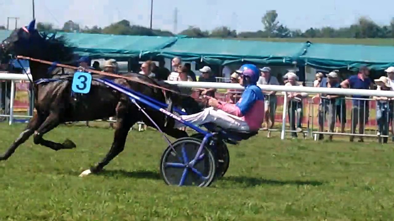 Course hippique à Coulevon : course de trot attelé