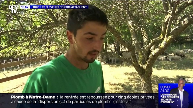 Loup, les éleveurs contre-attaquent