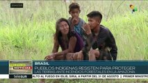 Brasil: pueblos indígenas resisten para preservar sus territorios