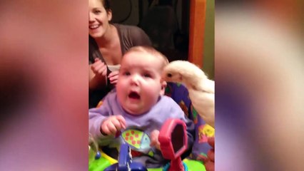 Funniest Babies Make Actions - Funny Baby Moments Compilation