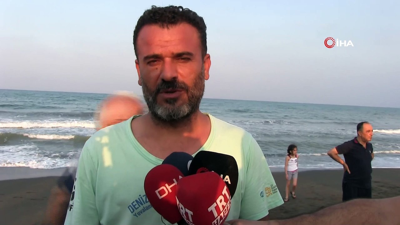 Yavru kaplumbağalar denizle buluştu