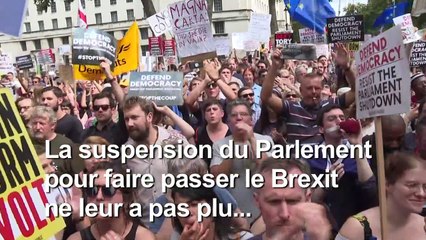 Brexit: manifestation à Londres contre le "coup" de Boris Johnson