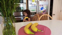 The Banana Song- Learn Counting to 5 with Puppets