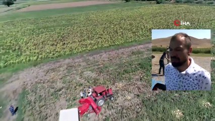 Çiftçiler ‘Çin’ Çekirdeğini Kayseri’de Üretti