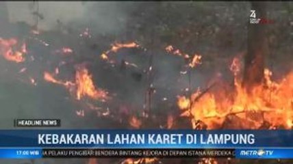 Puluhan Hektare Lahan Karet di Lampung Terbakar