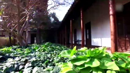 city tour 10 años, capítulo 26, temporada 2019 (29-08-19)