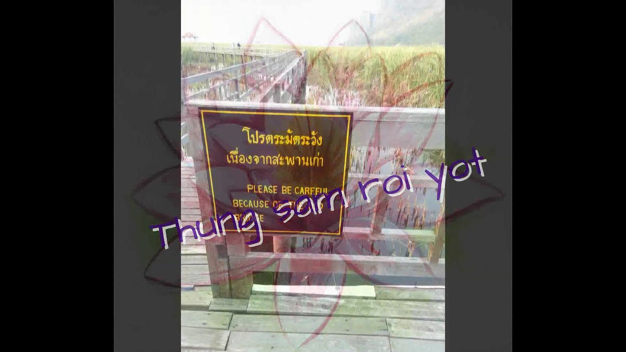 thung sam roi yot