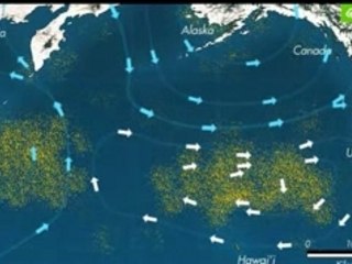 LE TRASH VORTEX DU PACIFIQUE NORD