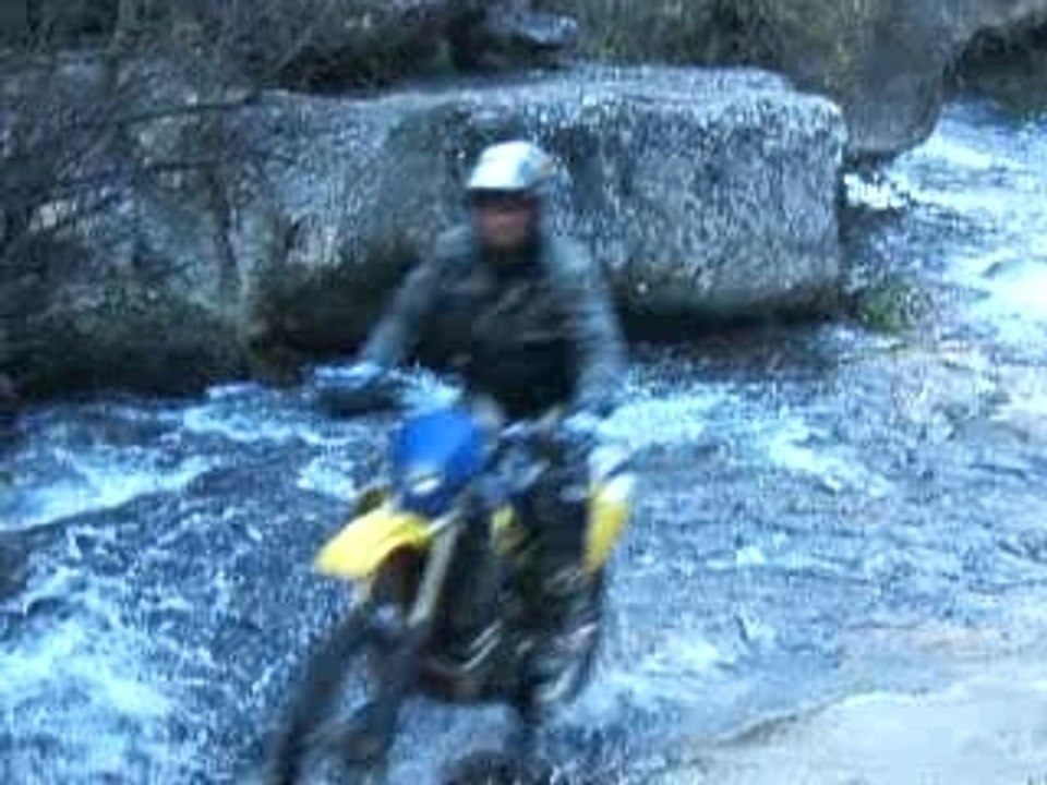 comme un poisson dans l'eau